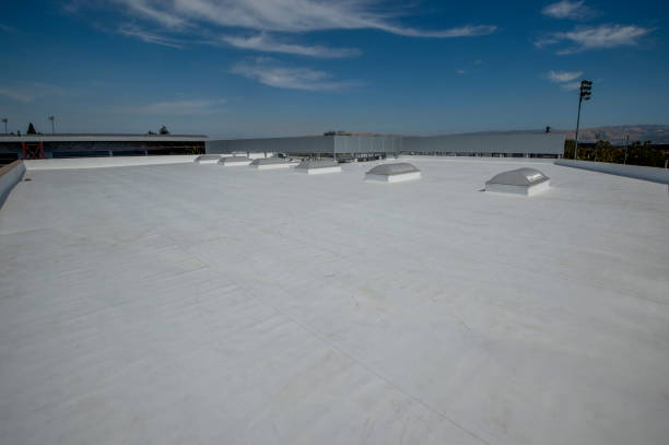 Best Gutter Installation and Repair  in Tinley Park, IL