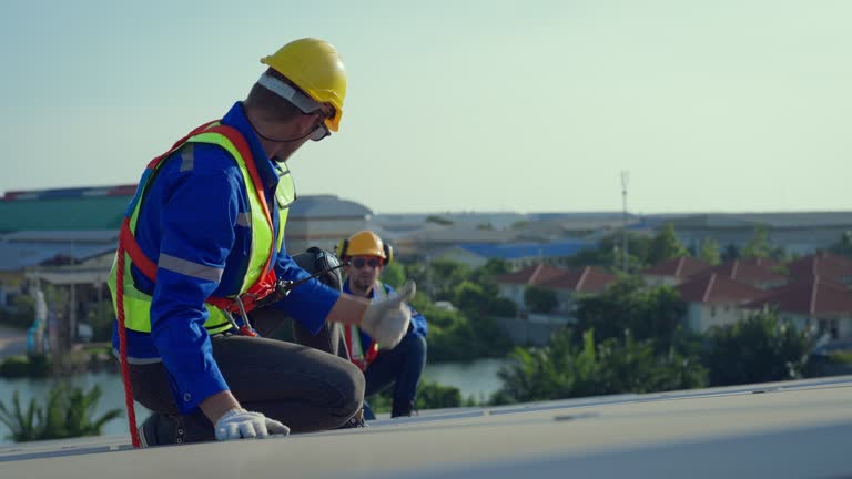 Best Sheet Metal Roofing  in Tinley Park, IL